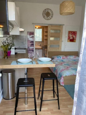 Le cosy Tassin - rez de jardin